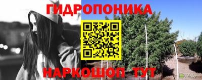 гашик Краснодар