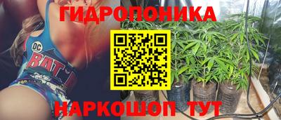 шишки Краснознаменск