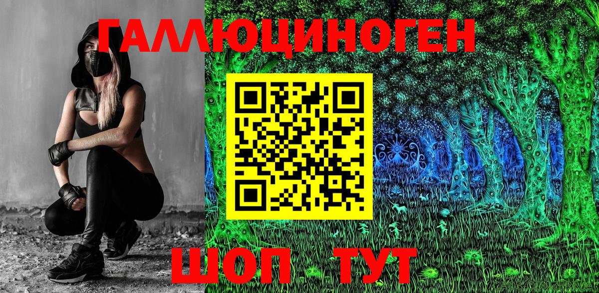 купить закладку  Галлюциногенные грибы Magic Shrooms  Выборг  Вход с VPN  Псилоцибиновые грибы прущие грибы 