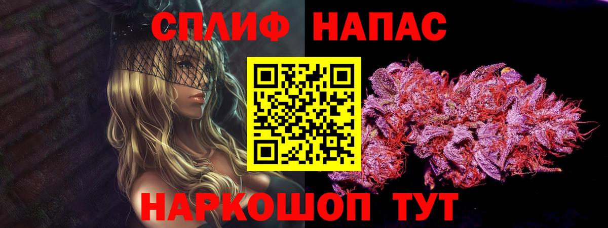 Каннабис конопля Выборг